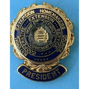 Vintage Lapel Pin: National Extension Homemakers Council - Past President